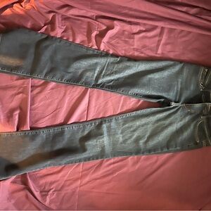 Joe's Jeans Blue Skinny Denim